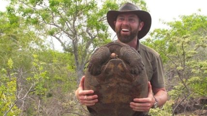 Найдена черепаха, вид которой считали вымершим более 100 лет
