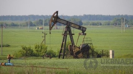 "Укрнафта" выставит на аукцион 310 474 тонн нефти