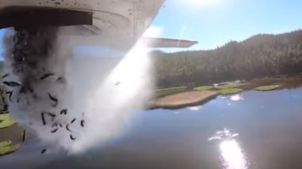 В США рыбу "десантируют" в озера с самолета: для чего (видео)