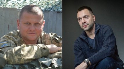 Валерий Залужный и Алексей Арестович