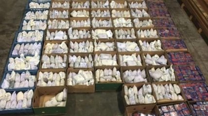 В Нидерландах в коробках для хлебопечек обнаружили 1100 кг героина