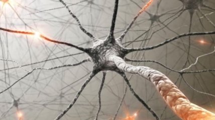 Ученым удалось остановить разрушение клеток мозга