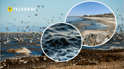 Вода у Чорному морі стала чорна