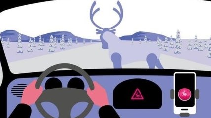 Финны создали мобильное приложение, которое предотвращает ДТП с оленями
