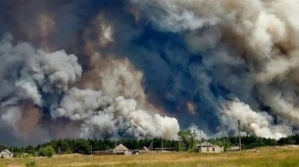 На Луганщині триває гасіння лісових пожеж