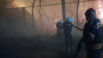 Пожары на Луганщине: последние данные о жертвах и видео последствий