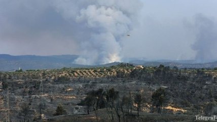 В Каталонии ликвидируют самый сильный за 20 лет лесной пожар