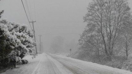 Грузовикам запретят въезд в столицу во время снегопадов