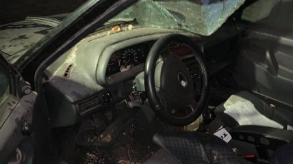 На Донбассе разбили автомобиль правозащитницы, прижавшей угольную мафию (фото)