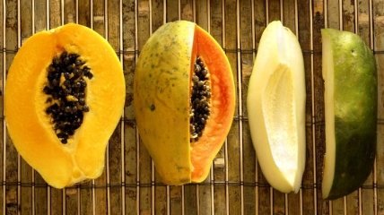 Какими лечебными свойствами обладает папайя?