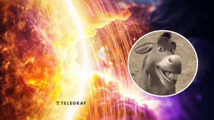 Сонце та віслюк зі "Шрека"