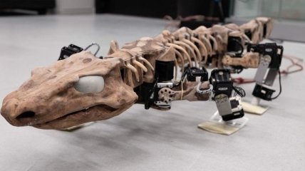Ученым удалось оживить скелет существа, жившего 290 миллионов лет назад (Видео)