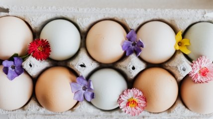 Куриное яйцо – очень популярный продукт