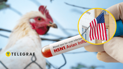 Птичий грипп H5N1