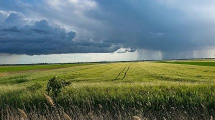 Ливни, ветер и грозы: что обещают синоптики в ближайшие дни 