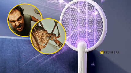 Люди намагаються вбити цю комаху