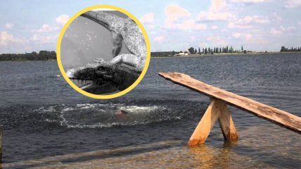 Озеро в селе Сомин на Волыни