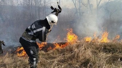 Спасатели продолжают тушить пожар в лесу Чернобыльской зоны (Видео)
