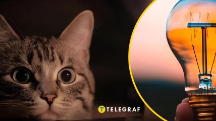 У деяких районах Києва зникло світло 8 квітня