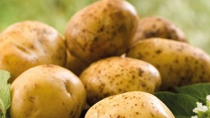 В Украине резко упали цены на молодой картофель