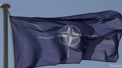 В НАТО поддерживают совместное решение США, Франции и Великобритании
