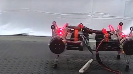 Исследователи: Роботы смогут научиться ходить самостоятельно 