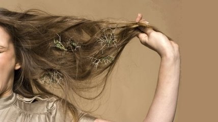 5 продуктов для здоровых густых волос