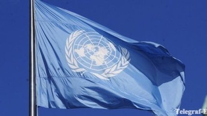 ООН ожидает профессионализма от украинской милиции 