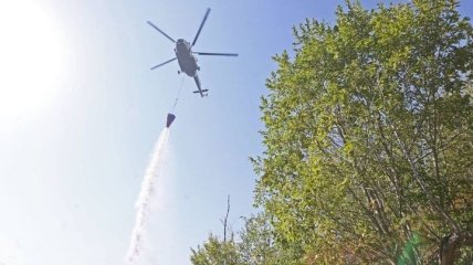 Лесные пожары в Грузии набрали масштабных оборотов