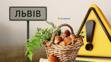 Посреди Львова заметили вешенки