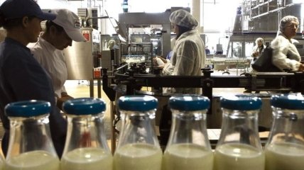 РФ ограничила поставки "молочки" из Беларуси 