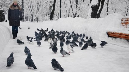 Последние дни января принесут украинцам сильные морозы