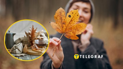 Запреты на 2 ноября