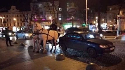 Полиция Львова открыла производство по факту наезда кареты с лошадьми на подростка