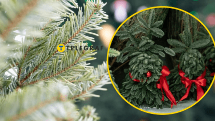 Фото Коллаж "Телеграфа"