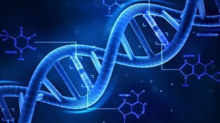 Ученые: CRISPR/Cas9 может вызывать нежелательные мутации и делеции в ДНК 