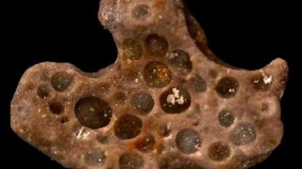 Ученые обнаружили пузырьки кислорода древних бактерий