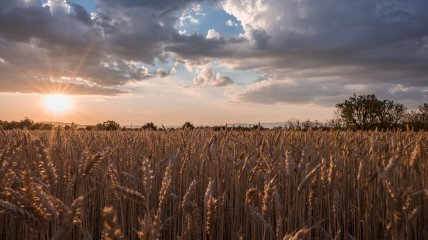 28 июня отмечается День Конституции и народный праздник Фита и Амоса