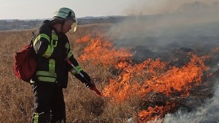 Боротьба з пожежами на Луганщині триває: рятувальники розповіли, де найскладніша ситуація