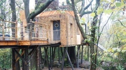 Гостевой домик на дереве (Фото)
