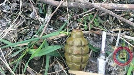 В Мариуполе на территории школы нашли гранату и патроны