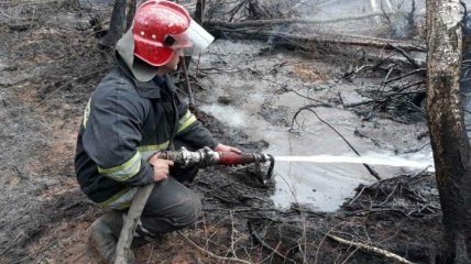 Пожары в Чернобыльской зоне: пожарные продолжают тушение огня в четырех лесничествах