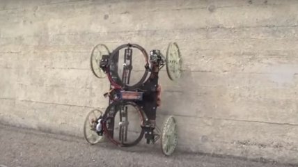 Сюрприз от ученых: создан робот, который может ездить по стенам