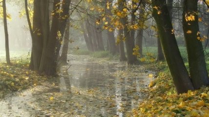 Прогноз погоды в Украине на 23 сентября