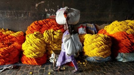 Удивительная повседневная жизнь в Индии (Фото)