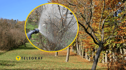 Обработка сада осенью