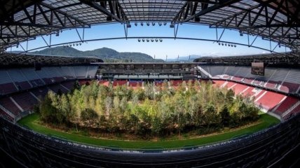 В Австрии на стадионе художник посадил 300 деревьев (Видео)