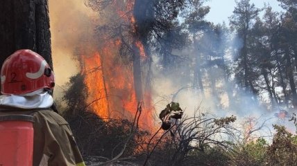 "Отступать, как и спартанцам, некуда": украинские спасатели тушат пожары в Греции (фото,видео)