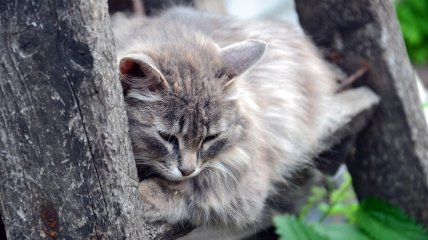 Недельный гороскоп неутешителен для Дев, Весов и Водолеев