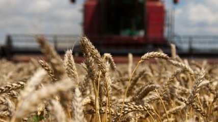 За 5 лет Украина может выйти на производство 120 млн тонн зерновых